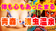青森県浅虫温泉ピンクコンパニオン宴会付き宿泊プランバナー
