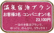 ピンクコンパニオン、一泊宿泊プラン